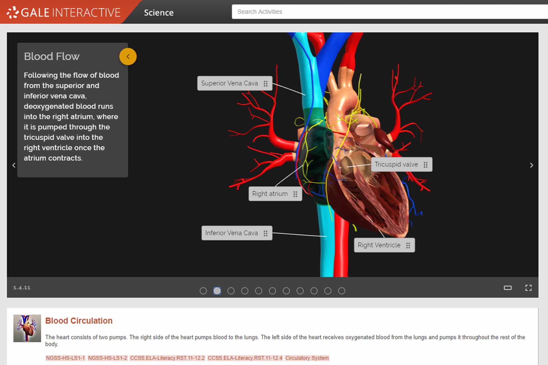 Gale Interactive Science Heart Model