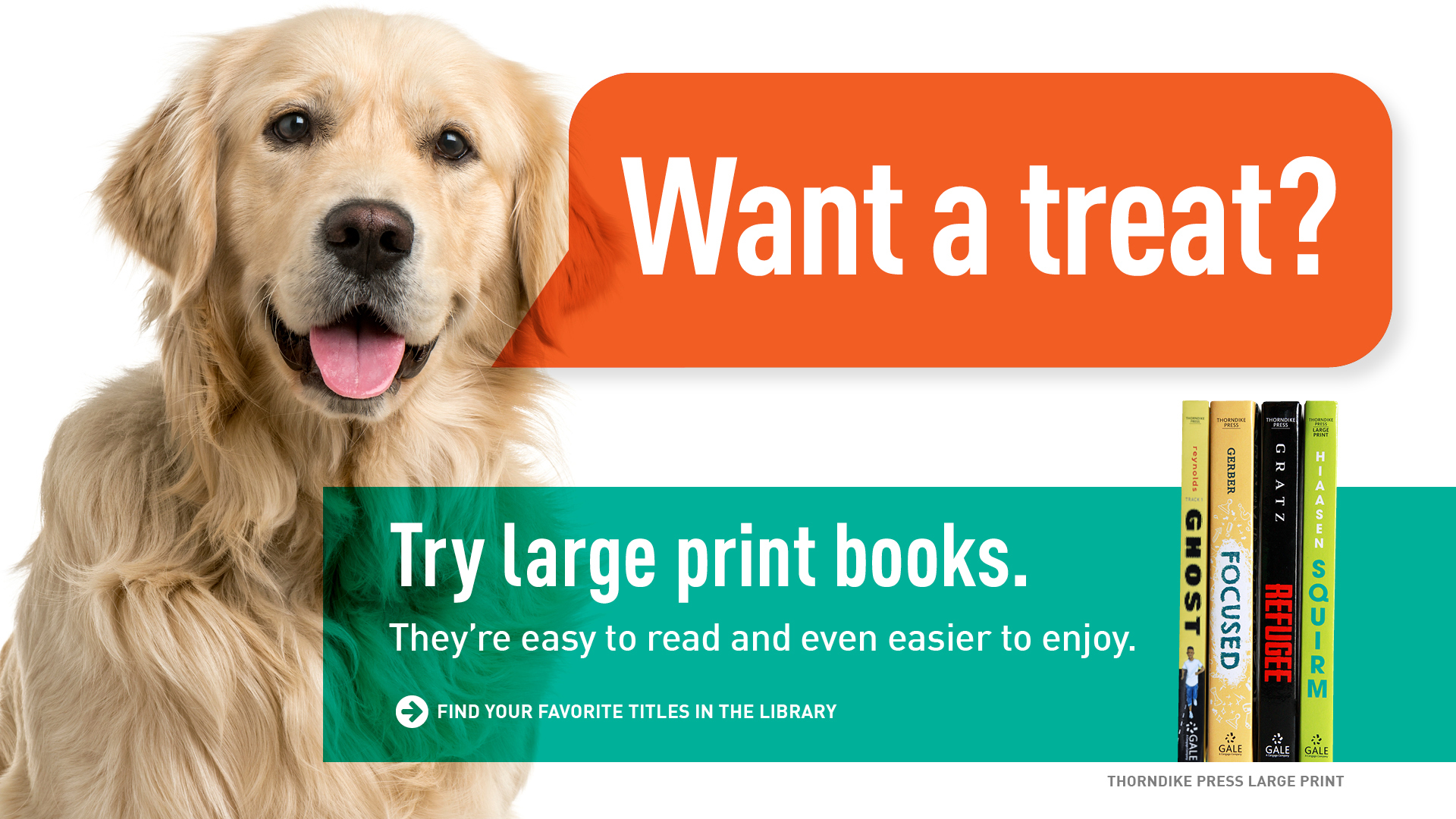 Promotional materials thorndike press youth large print