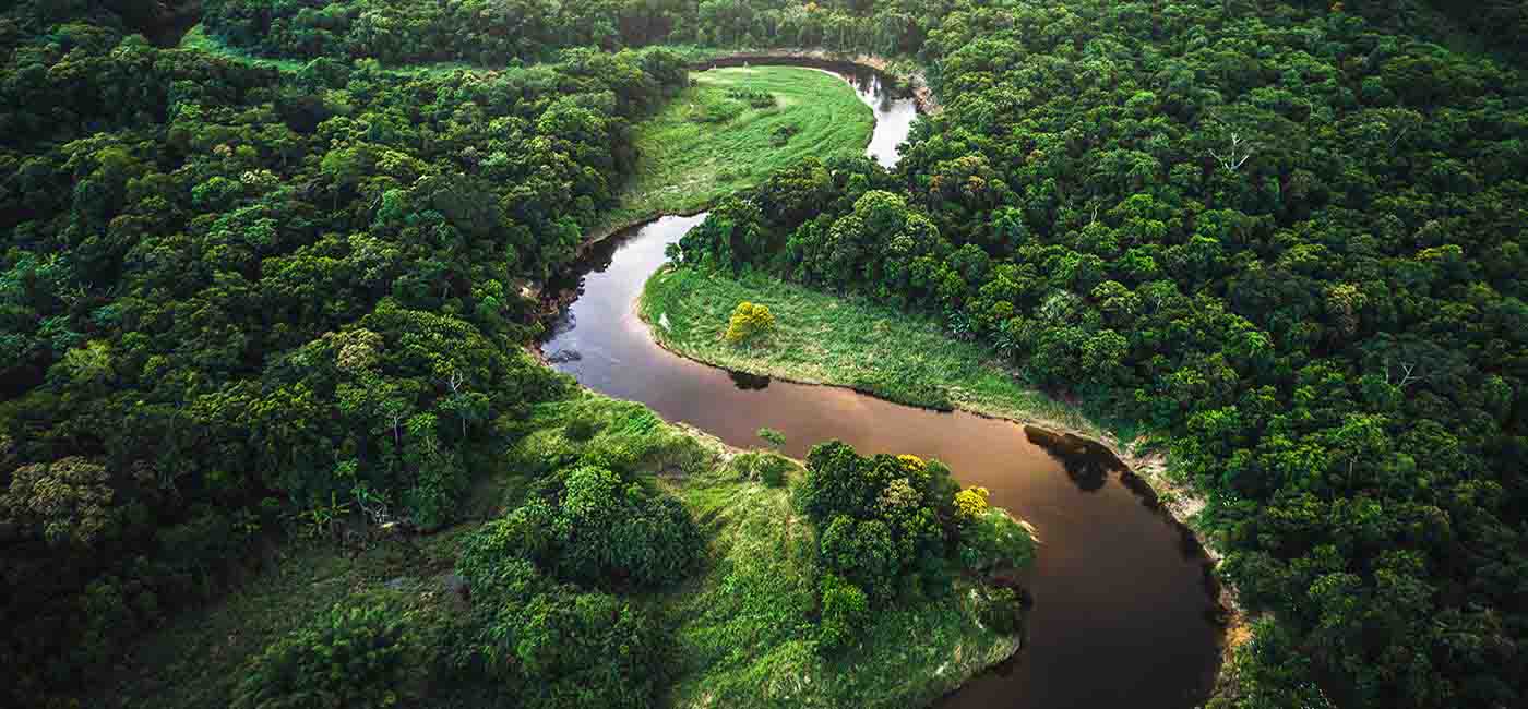 Long, windy river flows through the forest