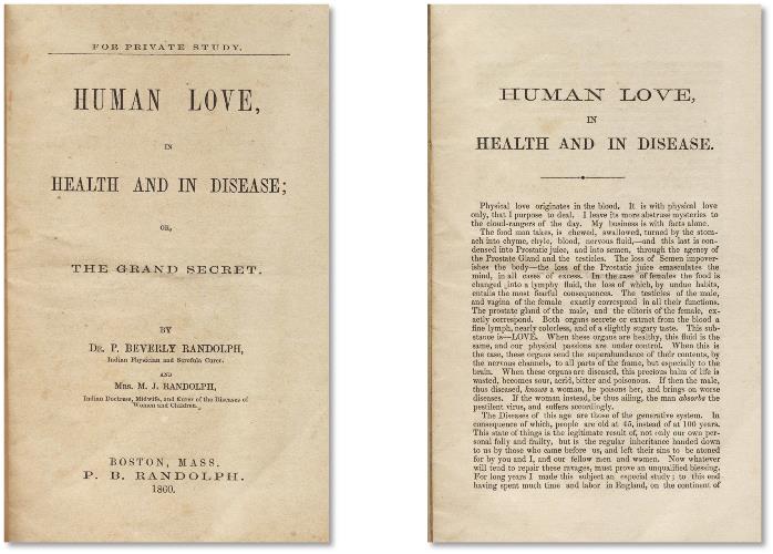 メアリー・ジェーン・ランドルフ夫人『健やかな時と病める時の人間愛』（1860年）