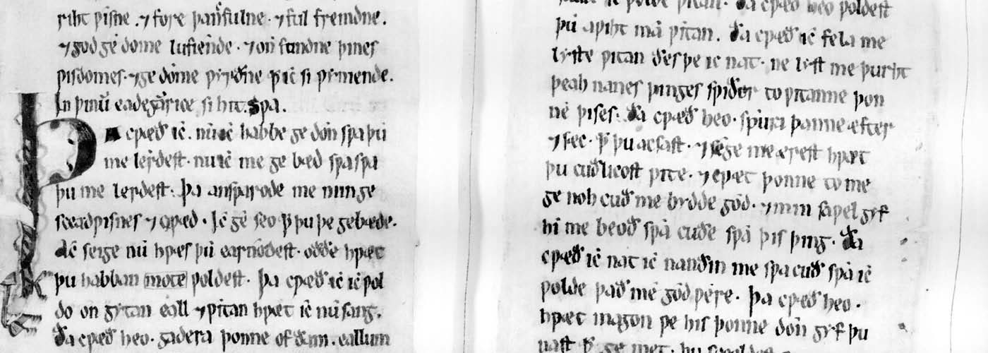 Codex membran. in 4to. foliis constans 206