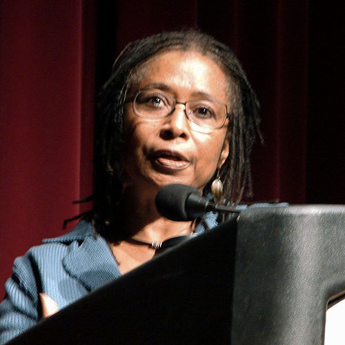 Alice Walker Databases Explored From Gale