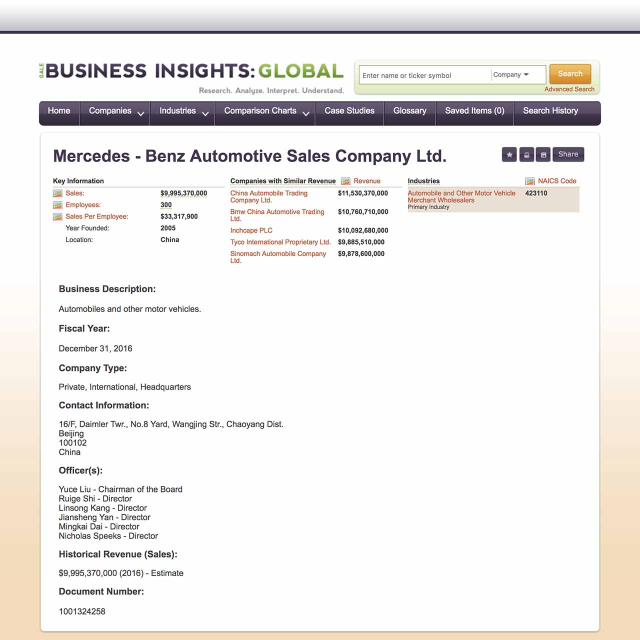 Business Insights Global Company Information