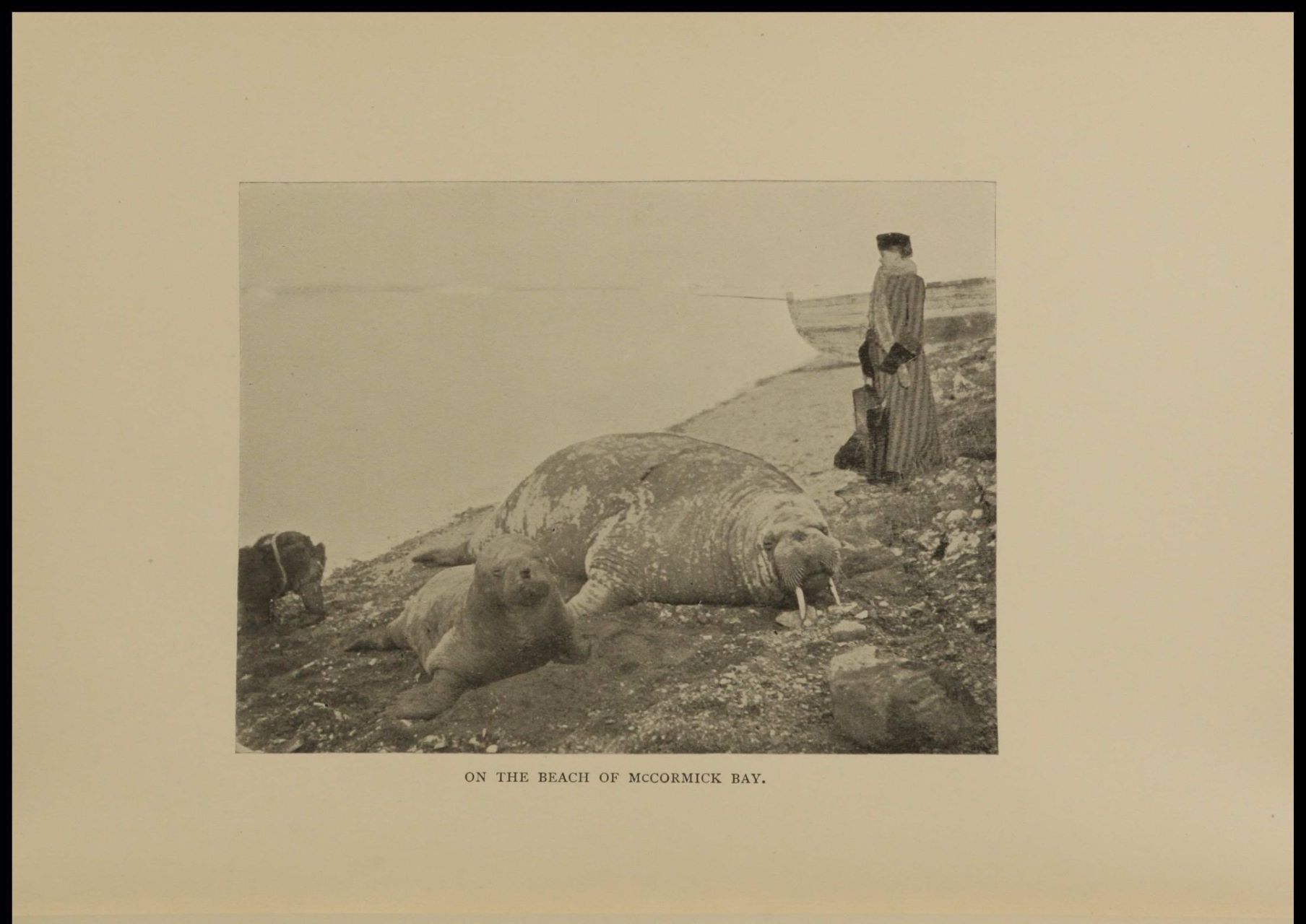 Peary, Josephine Diebitsch, and Robert Edwin Peary. My Arctic journal: a year among ice-fields and Eskimos: by Josephine Diebitsch-Peary; with an account of the great white journey across Greenland, by Robert E. Peary. The Contemporary Publishing Company, 1893. Women's Studies Archive, https://link.gale.com/apps/doc/QMTVHH323807754/WMNS?u=webdemo&sid=WMNS&xid=ca76ca1e&pg=4
