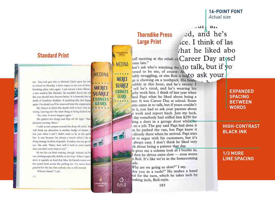 Holes (Thorndike Press Large Print Literacy Bridge Series)